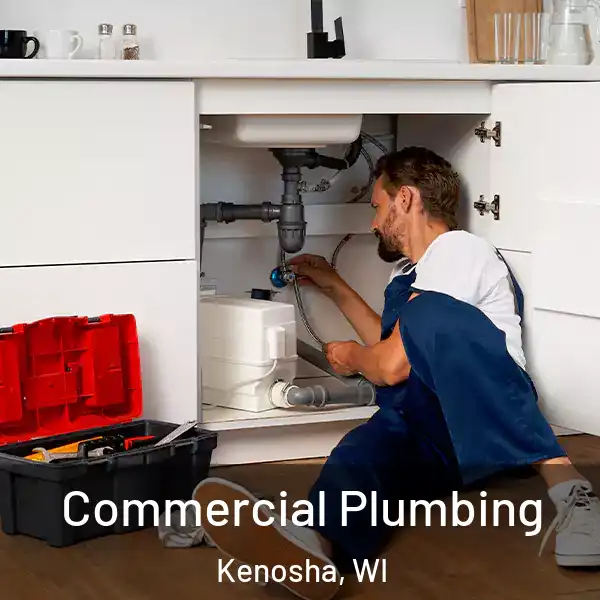  Commercial Plumbing Kenosha, WI